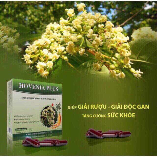 Viên bổ gan Hovenia Plus [ Chính hãng] - Giải độc gan, giải rượu | Thế Giới Skin Care