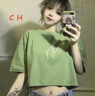 Áo croptop đầu khủng long !! chất tici Haiphuc TH6