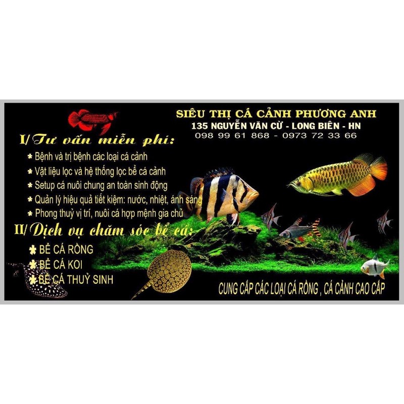 Chế phẩm AB02: Chữa các bệnh về tiêu hoá ở cá