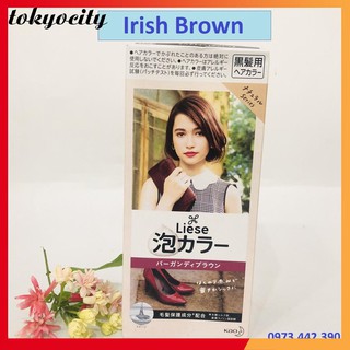 Bọt nhuộm tóc liese nhật bản