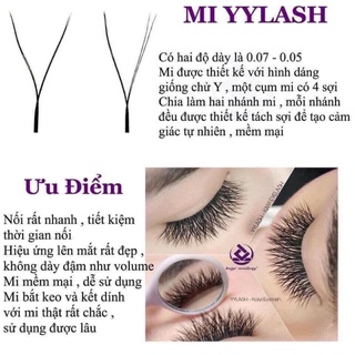Mi chữ yy cao cấp