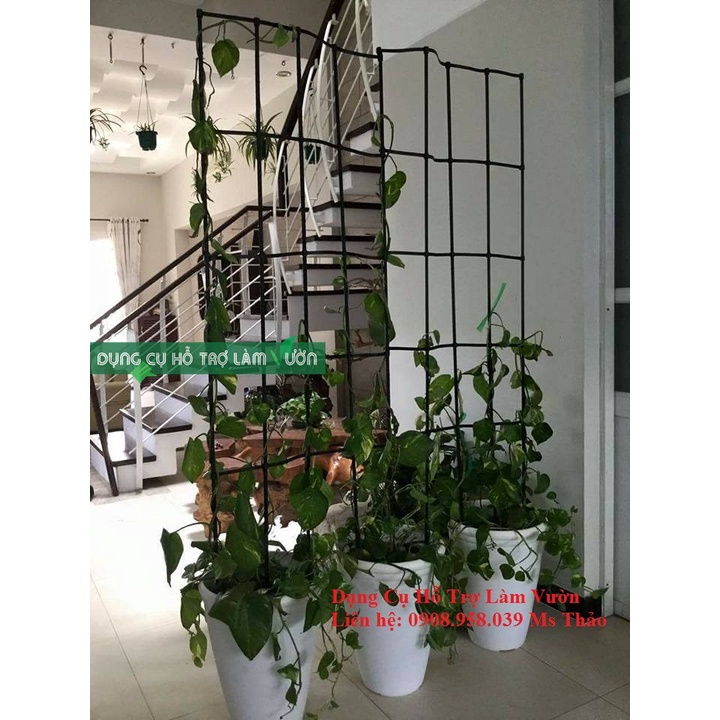 Giàn leo rộng 60cm cao 180cm chuyên dùng làm khung giàn cho cây leo