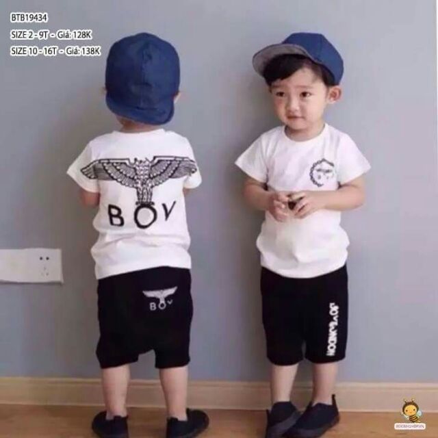 Bô đại bàng