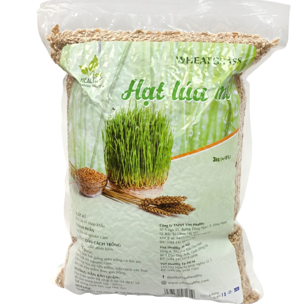 Hạt giống cỏ lúa mì Viethealthy Túi 3KG