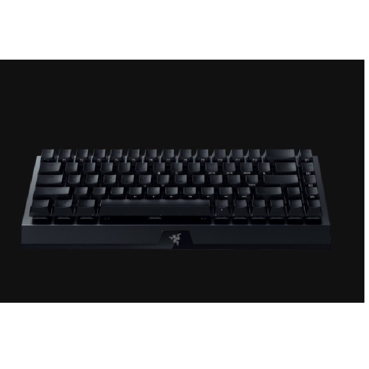 Bàn phím Razer BlackWidow V3 Mini HyperSpeed-Phantom Pudding Edition-65% Wireless Mechanical-Green Switch_RZ03-03892000