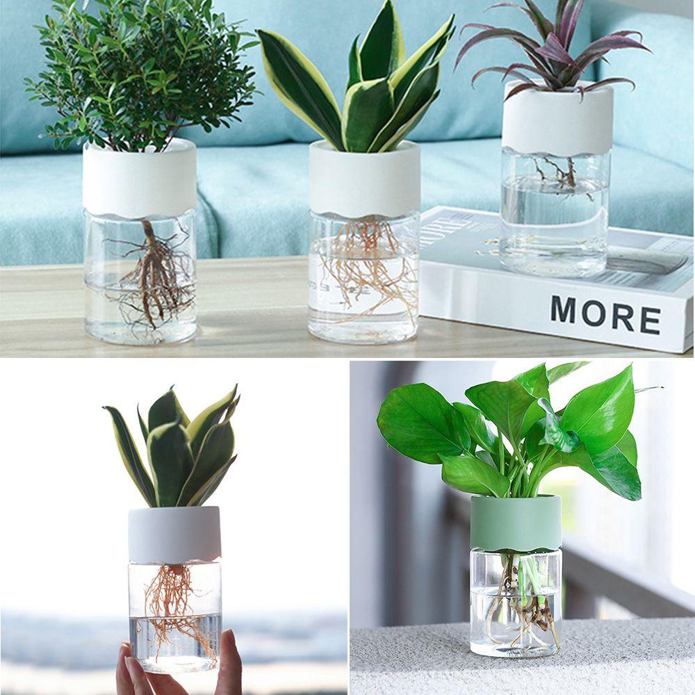 Set 2 Bình Hoa Thủy Canh Hình Tròn Trong Suốt Để Bàn Trang Trí