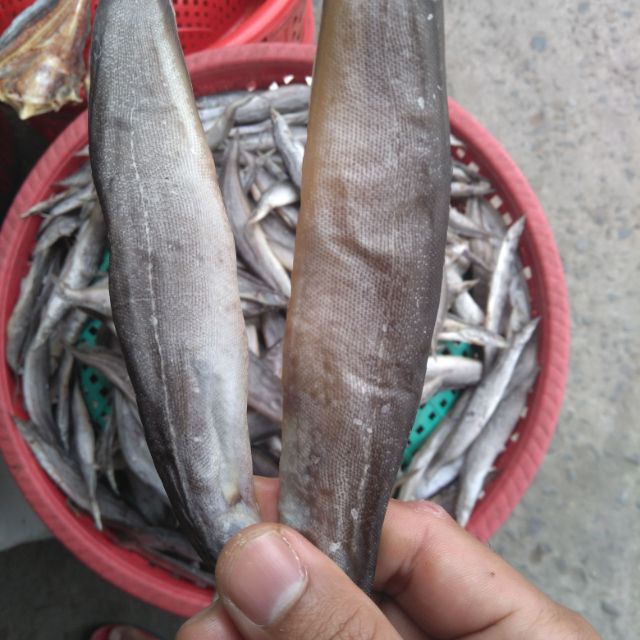 Khô cá chạch đồng 500g