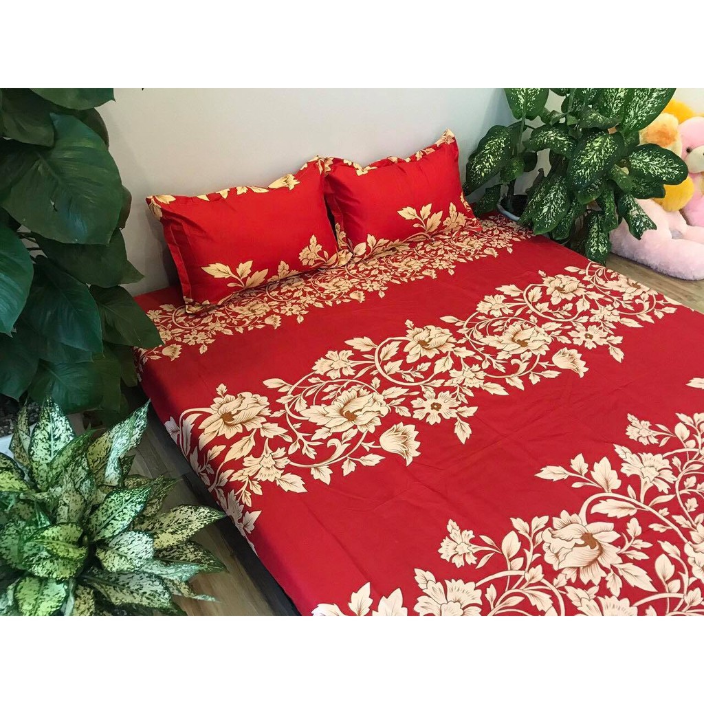 Bộ Ga gối Cotton Poly Emmidecor Kích Thước 2m x 2m2 - các mẫu