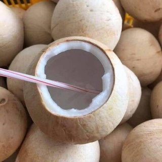 Dừa Xiêm Gọt Trọc Tươi Ngon Ngọt Nước Size M - Trái - FoodMap Fruits