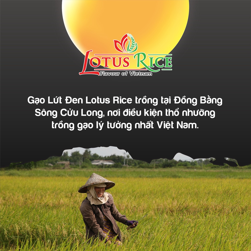 Gạo Lứt Đen dẻo ngọt thơm ngon Lotus Rice 1kg - Dễ ăn dễ nấu - Nhiều chứng nhận ATTP