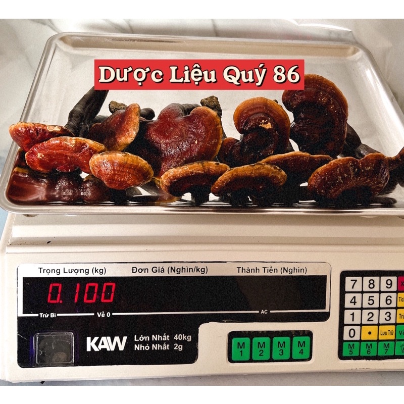 Nấm Linh Chi Rừng 100g