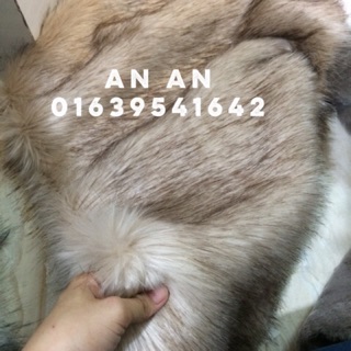 Thảm lông " tông nâu phớt "
