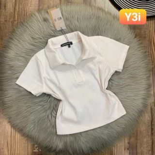 Áo kiểu Cỗ Bẽ loptop