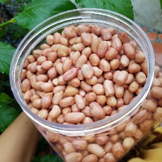 > lạc quê bóc vỏ 100g đóng túi zip