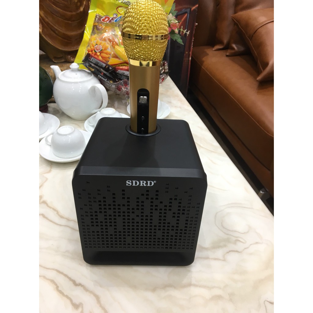 Loa Karaoke Bluetooth SDRD - 504 KÈM 1 MIC - Huco Việt Nam