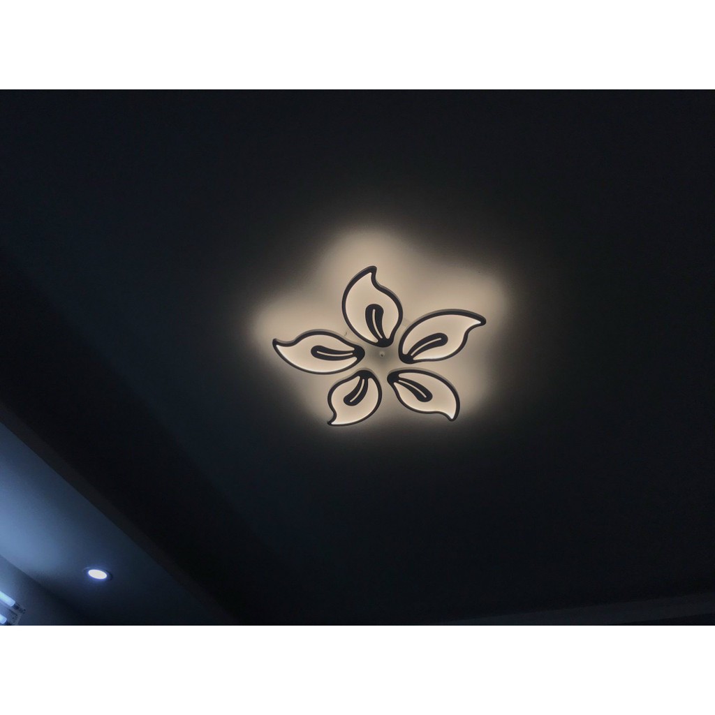 Đèn trần LED MONSKY ốp trần trang trí 5 cánh sen vàng hiện đại [ẢNH THẬT 100%