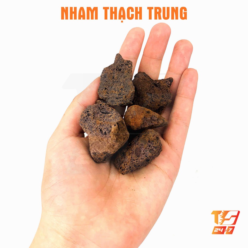 1kg Đá Nham Thạch Scoria Viên Nhỏ/Trung - Vật Liệu Lọc Hồ Cá, Bể Thủy Sinh