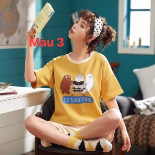 Combo 5 bộ đồ 830k