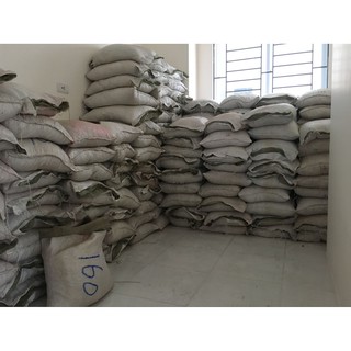 Bi đất sét bắn ná cao su