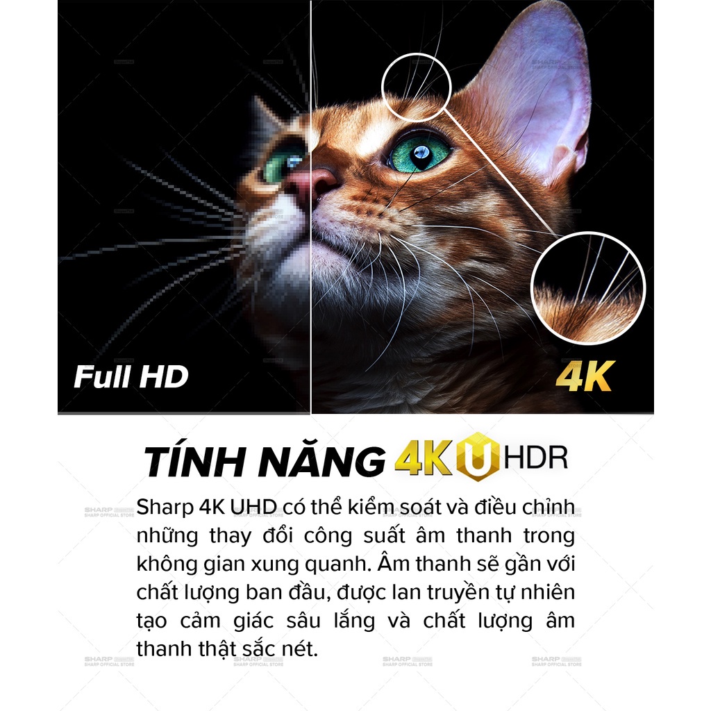 Chỉ giao tại HN --TV LED Sharp 4K 4T-C55DJ3X 55inch Android 10 &amp; điều khiển giọng nói