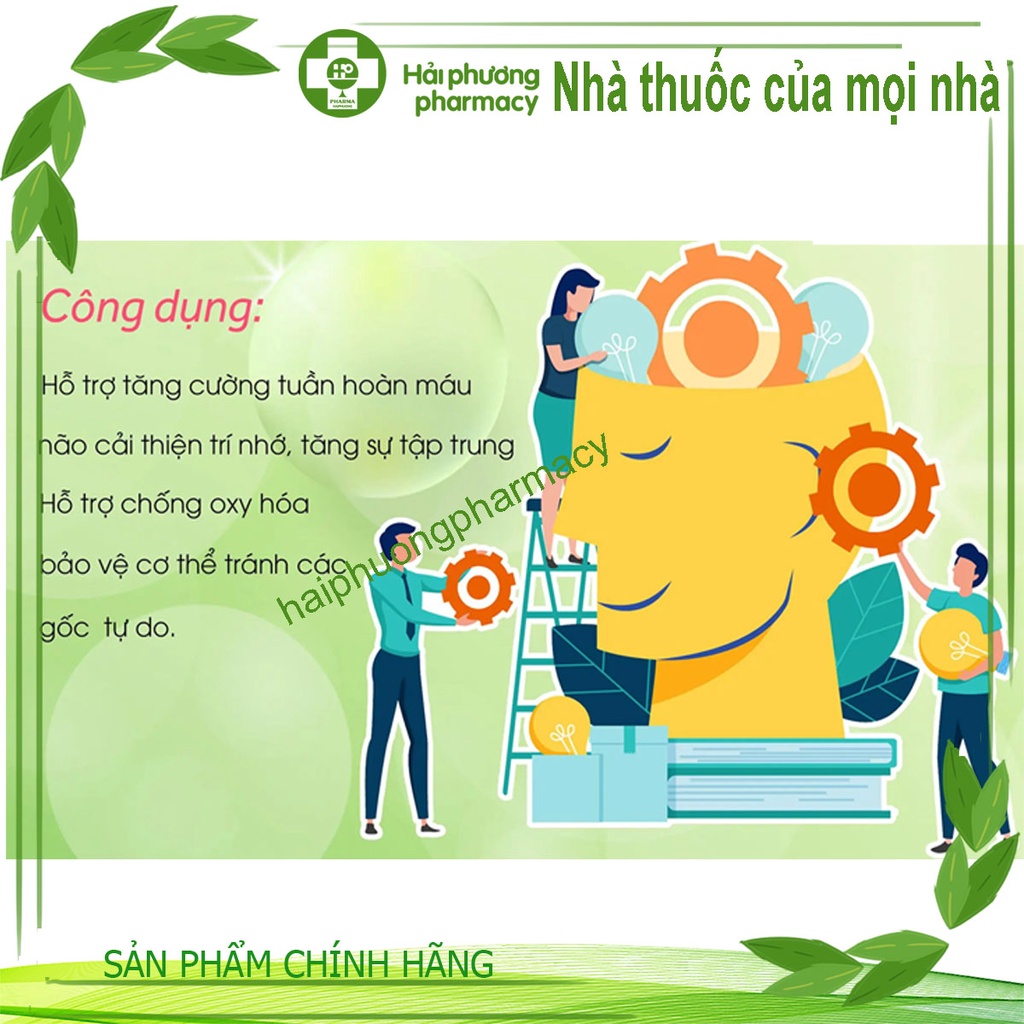 Vitatree Gingko Plus 6000 With Q10 - Viên Uống Tăng Tuần Hoàn Não