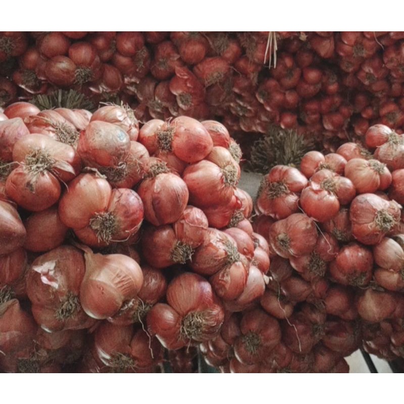 ⚡️ Hành khô Kinh Môn Hải Dương