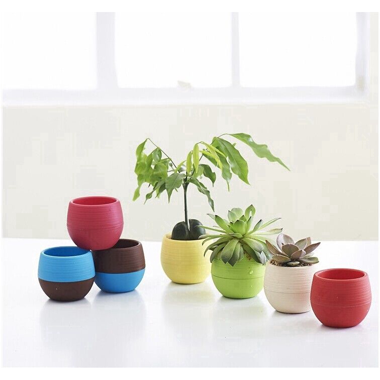 Chậu hoa mini bằng nhựa màu sắc dùng để trang trí nhà cửa