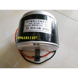 Động cơ 12V 300W