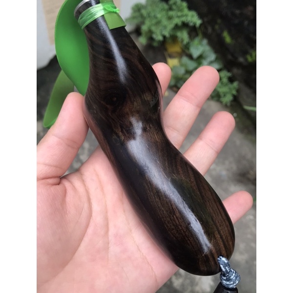 Ná hổ gỗ cẩm thị xanh