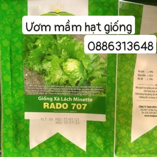 Xà lách Minetto(2g)