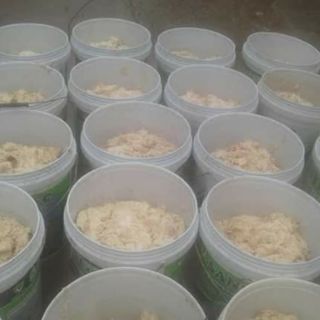 1kg Bột sắn dây