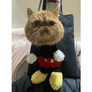 Túi Đeo Vai Hình Mặt Cười Dễ Thương Dành Cho Thú Cưng/Mèo Cưng/Cún Nhỏ/Mèo Cưng DIY