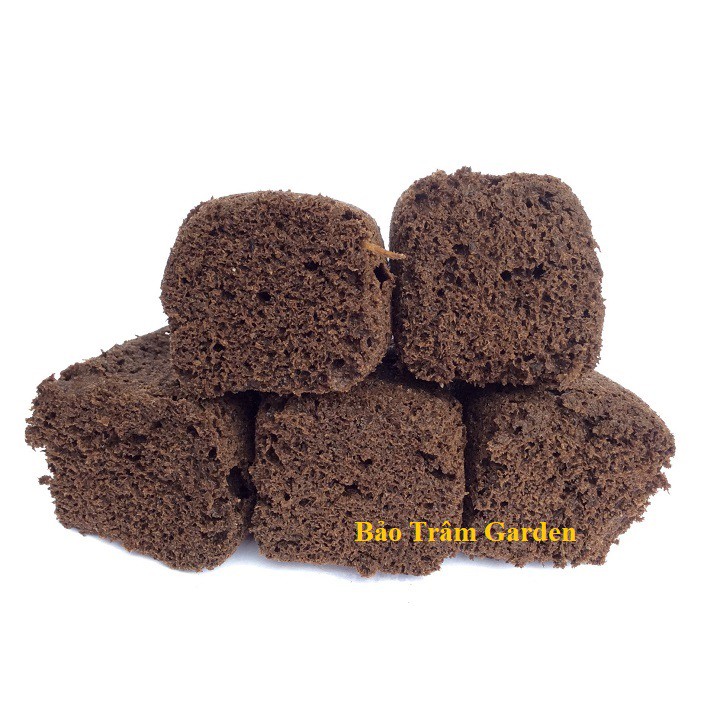 Set 5 viên mút ươm hữu cơ ROOT RIOT nhập khẩu Mỹ ROOT RIOT chuyên ươm hạt, giâm cành. ươm kie phong lan