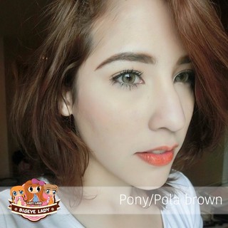 Lens Nâu Tây (1,25 ĐỘ)