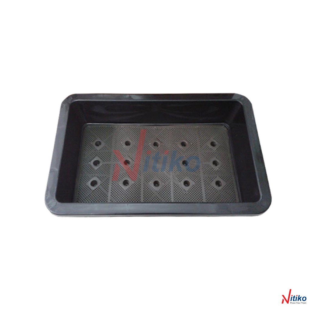 Khay nhựa trồng rau sạch tại nhà