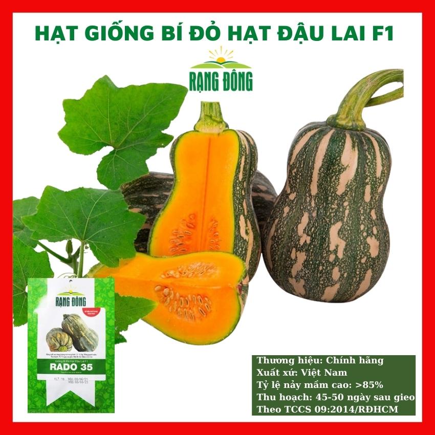 Hạt giống bí đỏ hạt đậu lai F1 - rau củ quả trồng chậu, sân vườn ban công tỉ lệ nảy mầm cao 1gr RADO 35