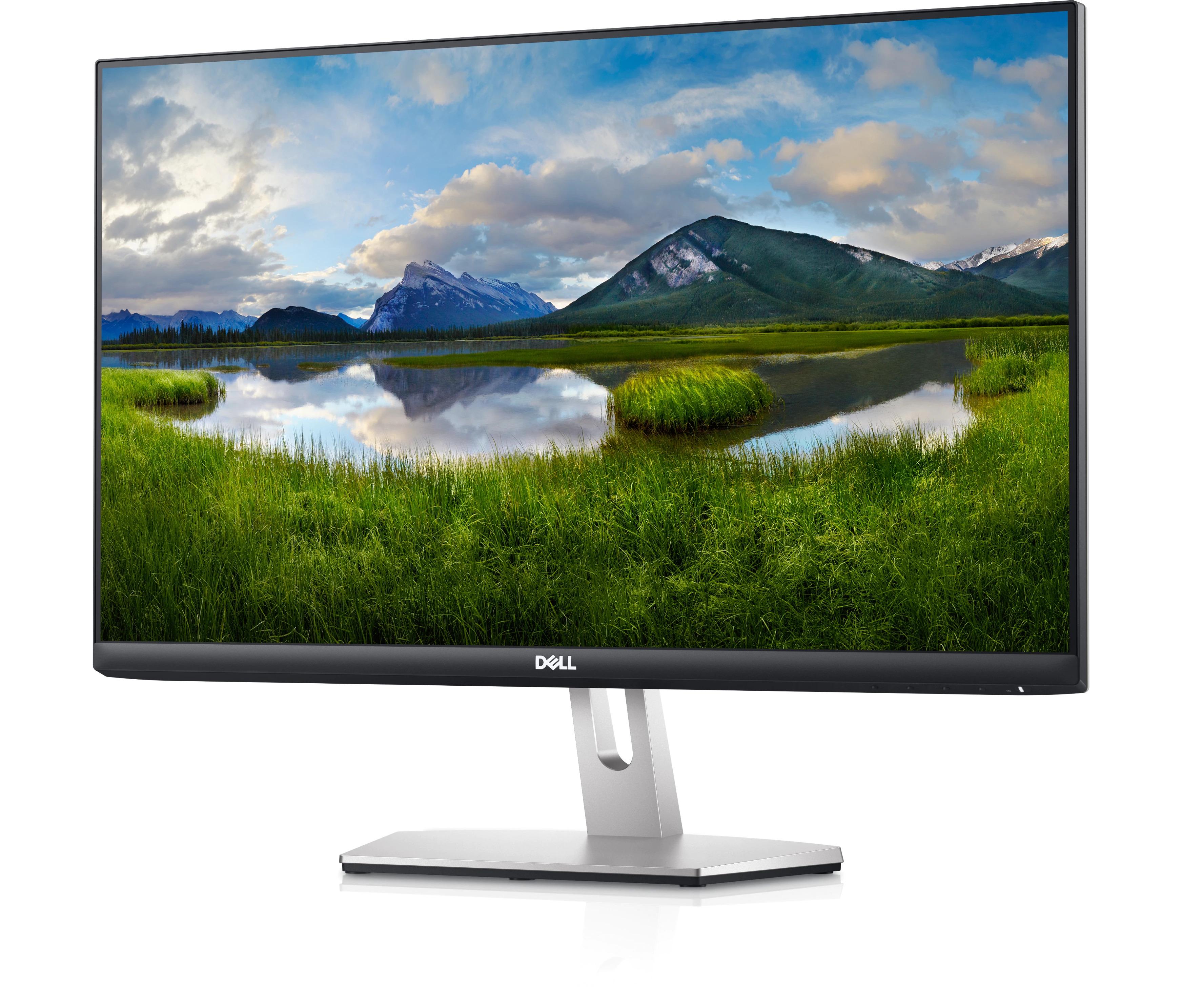 [Mã ELMALL1TR giảm 5% đơn 3TR] Màn Hình Dell S2421HN 23.8" FHD IPS 75Hz 4ms AMD FreeSync HDMI - Hàng Chính Hãng | BigBuy360 - bigbuy360.vn