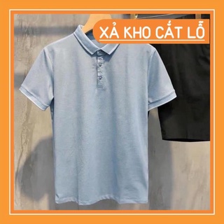 Áo POLO nam lịch lãm, trẻ trung