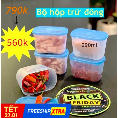 Hộp trữ đông Tupperware Mini Freezermate 290ml