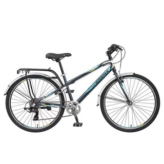Xe đạp thể thao asama trk fl2601