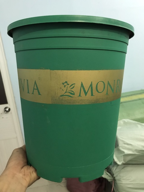 Chậu nhựa trồng cây Monrovia 28x31cm có màu xanh và đen