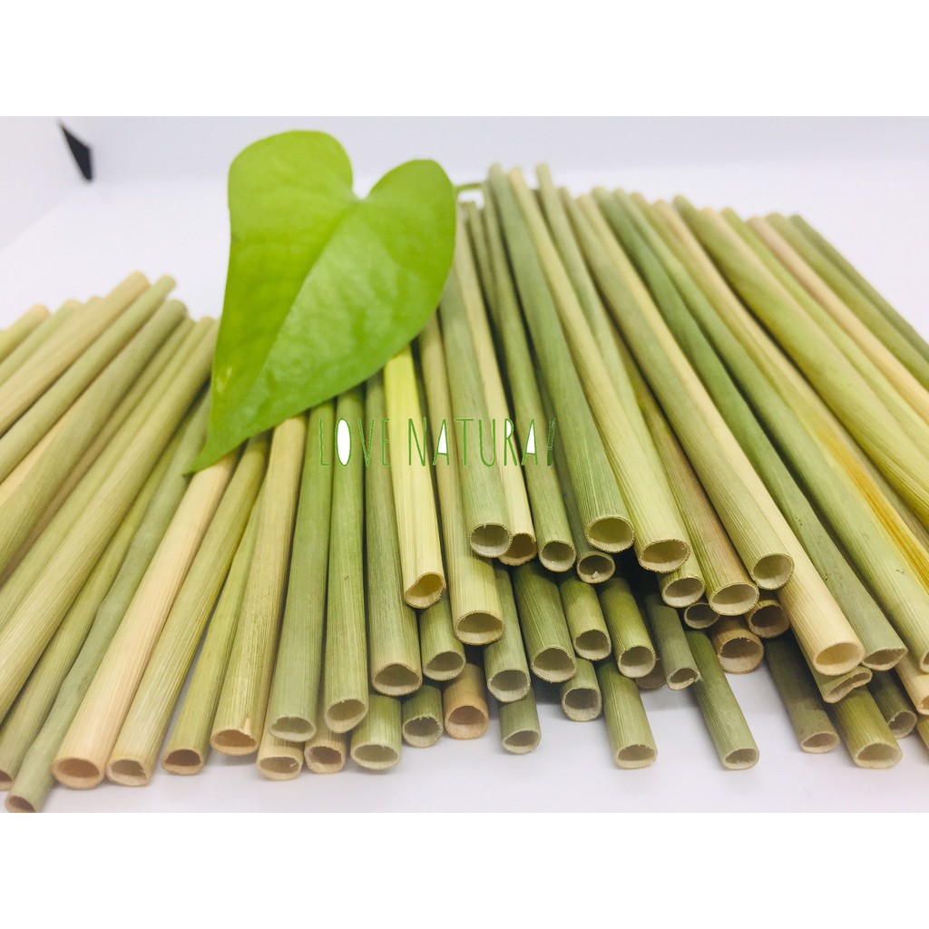 Ông hút cỏ bàng/tre khắc Laze (quà tặng) xuất khẩu Châu Âu (combo 500 ống) Love natural để được 12 tháng Bamboo straw