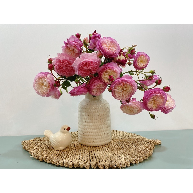 Set Đĩa cói treo tường Vintage có thể mix nhiều tấm khác nhau