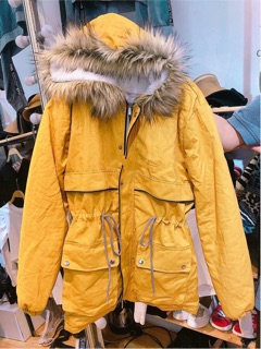 Áo parka