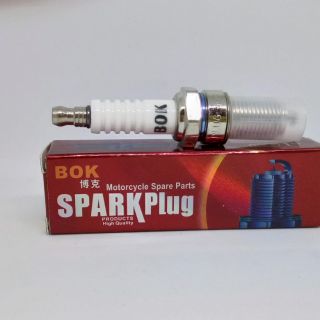Bugi đánh lửa xe máy động cơ từ 125cc-250cc