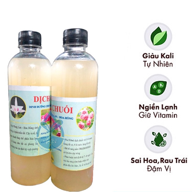 Dịch chuối vi sinh đậm đặc chai 500ml - Chế phẩm thần dược dùng cho phong Lan, hoa hồng
