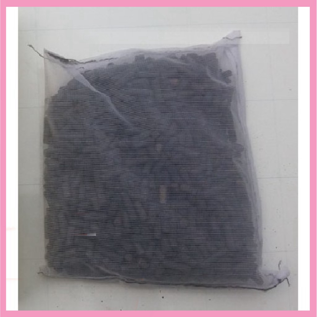 Than hoạt tính lọc nước bể cá, đã gồm túi lưới 250gr