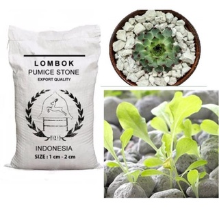 Đá bọt Pumice Indonesia gói 1kg