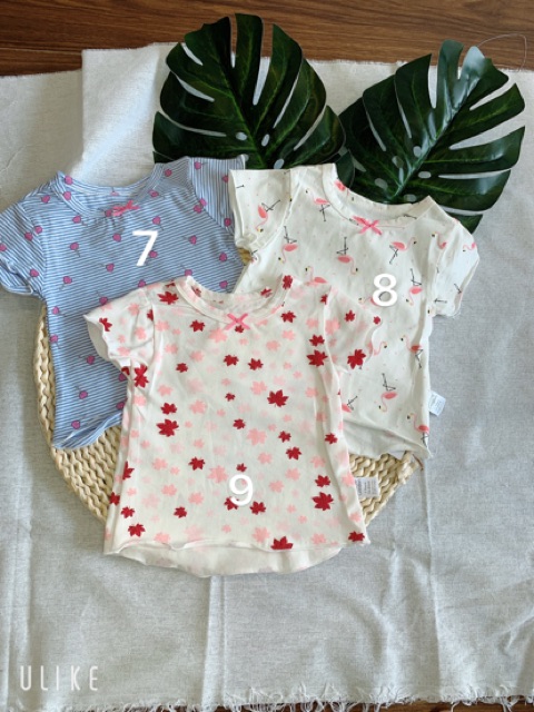 Áo phông cotton cộc tay cho bé gái mẫu mới