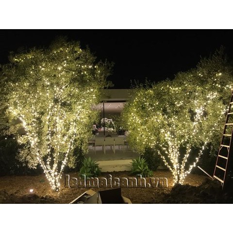 ĐÈN NHÁY LED TRANG TRÍ DÀI 50M